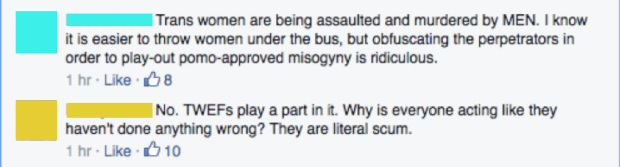 Screenshot of two Facebook comments. The first comment reads: "Trans women are being assaulted and murdered by MEN. I know it is easier to throw women under the bus, but obfuscating the perpetrators in order to play-out pomo-approved misogyny is ridiculous. The second comment reads: No. TWEFs play a part in it. Why is everyone acting like they haven't done anything wrong? They are literal scum.