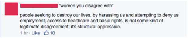 Screenshot of a Facebook comment which claims that : "people seeking to destroy our lives, by harassing us and attempting to deny us employment, access to healthcare and basic rights, is not some kind of legitimate disagreement; it's structural oppression."